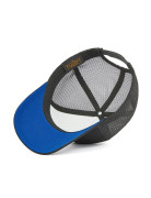 TRUCKER SKI ALPS BLACK